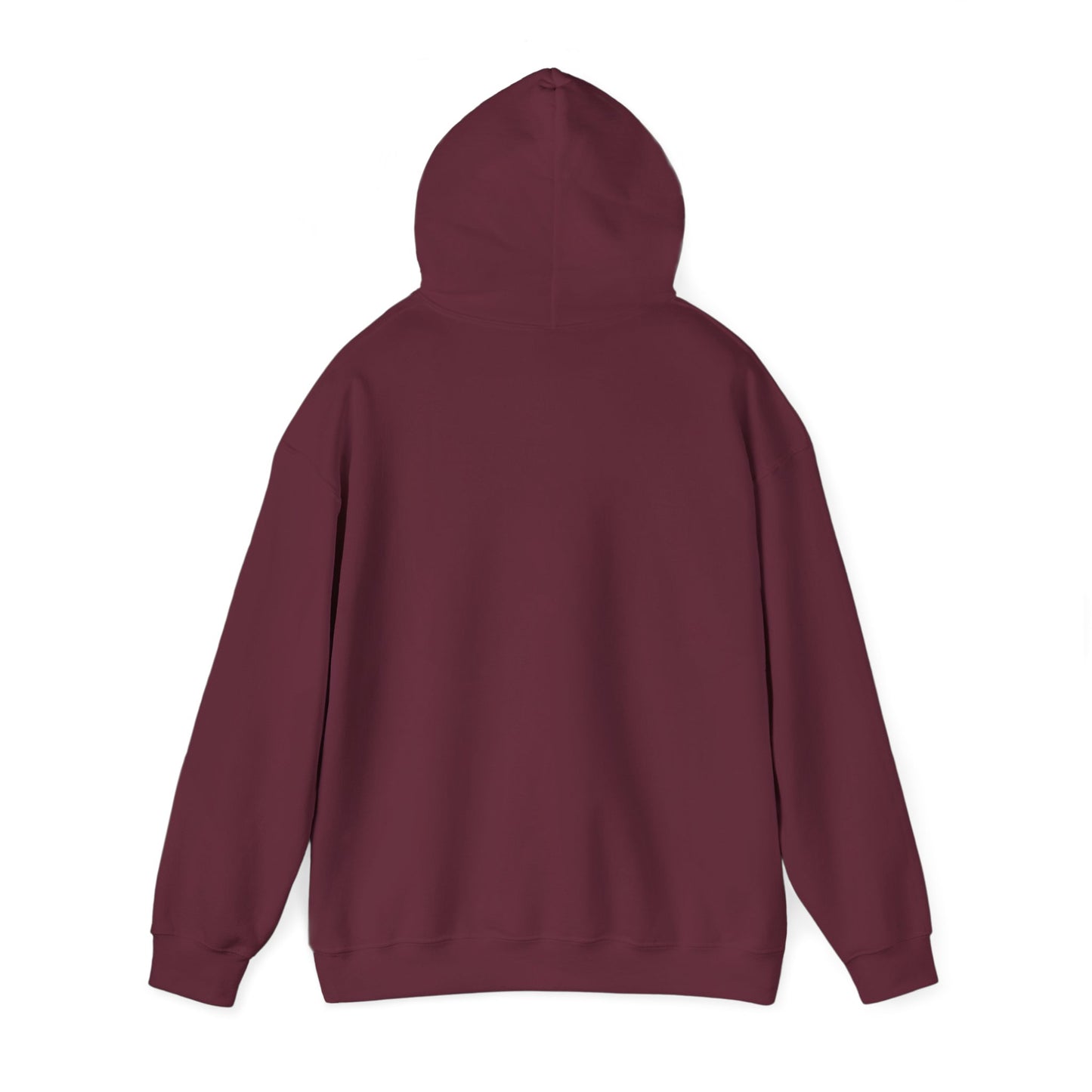 Your Time to Shine Hooded Sweatshirt