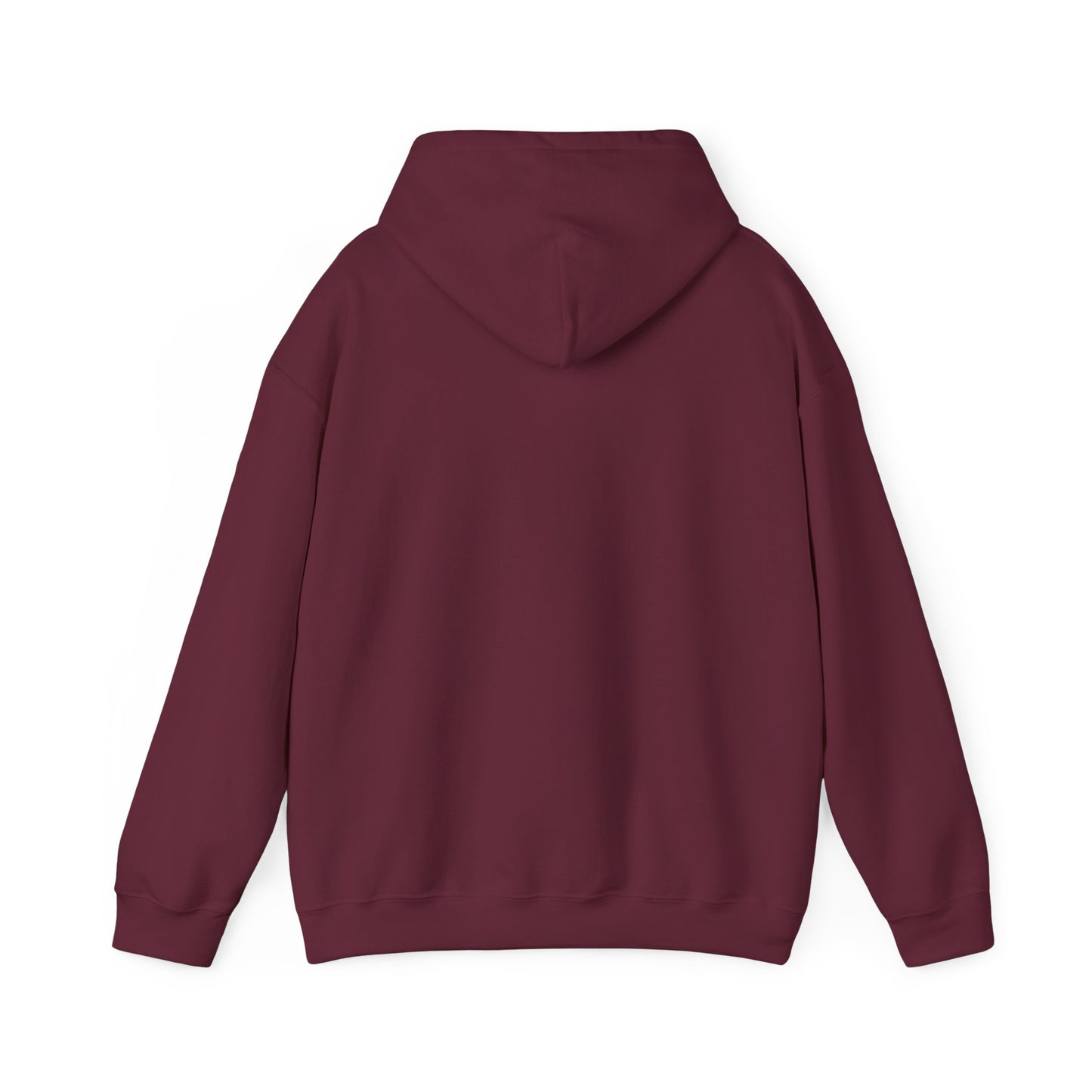 Your Time to Shine Hooded Sweatshirt