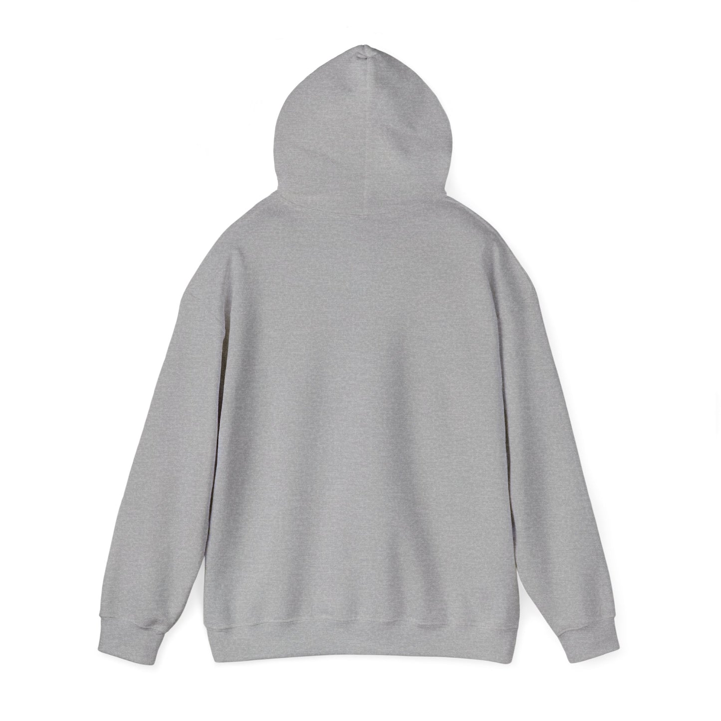 Your Time to Shine Hooded Sweatshirt