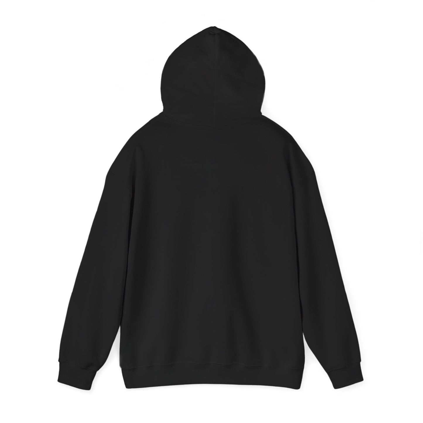 Your Time to Shine Hooded Sweatshirt