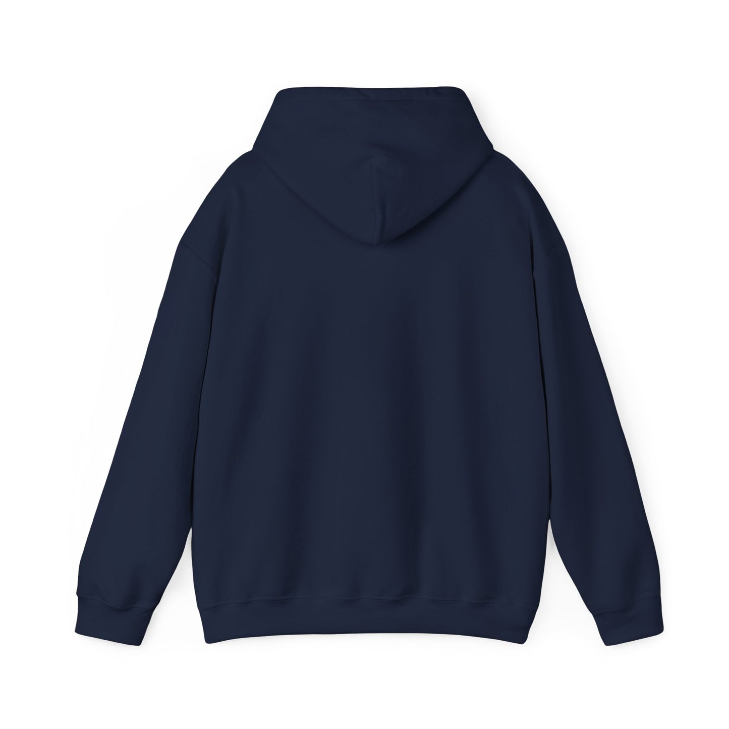Your Time to Shine Hooded Sweatshirt